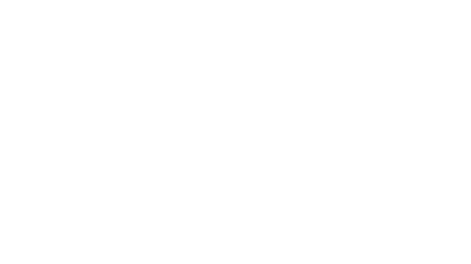 Salvaje